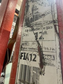 12 Foot Ladder