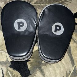 Pro Boxing & MMA MITTS