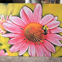 Photo & Original Art