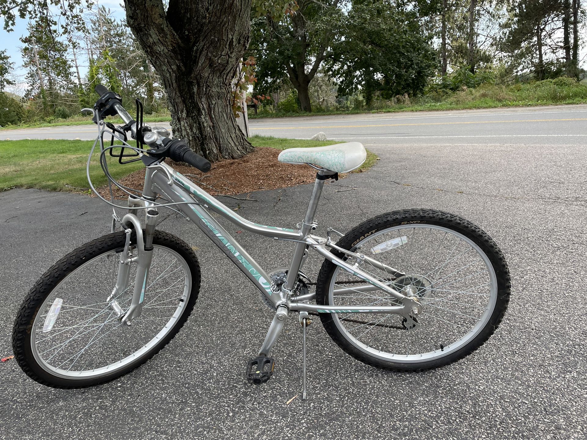 Giant 24” Wheel Teen Bike LIKE NEW