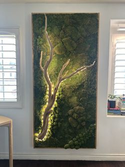 Color Changing Moss Wall with Philips Hue LED Strip Lights