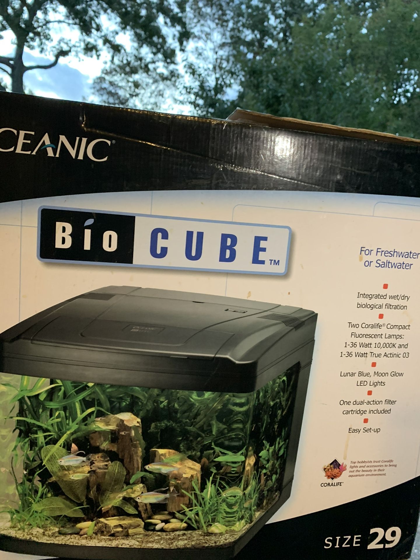 Bio Cube Size 29
