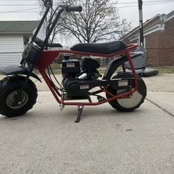 Mini Coleman Dirtbike 