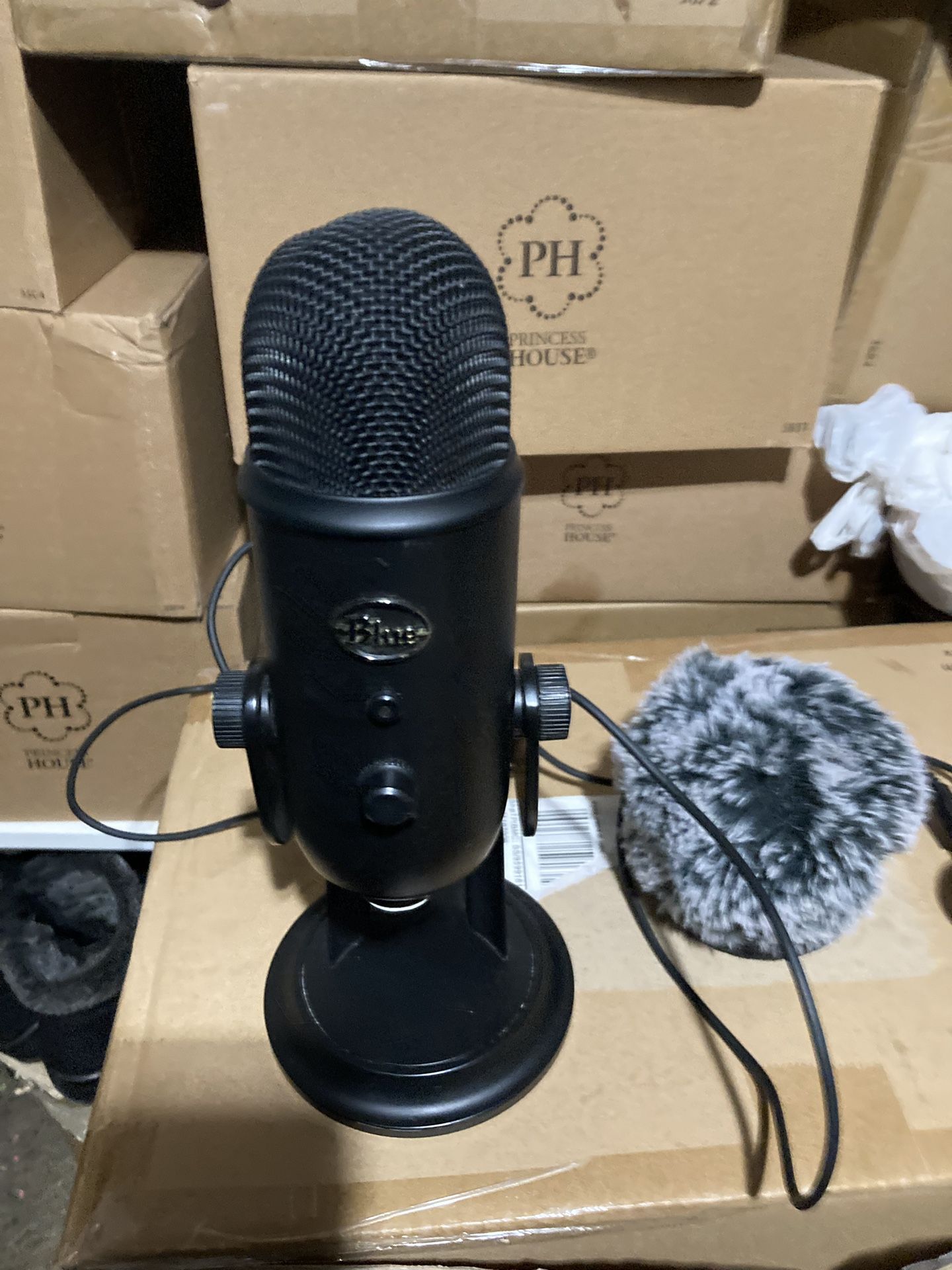 Mic With Web Cam
