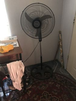 Floor fan