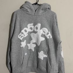 Large Sp5der Hoode Gray