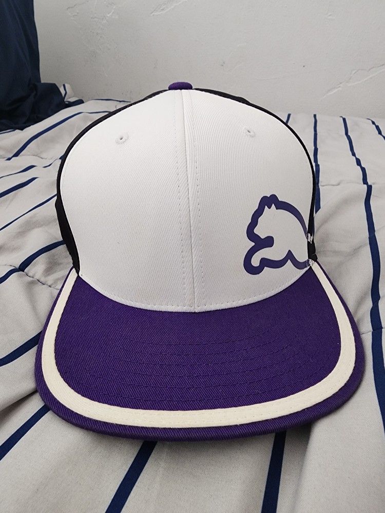 Puma Hat