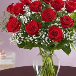 Dozen Fresh Roses