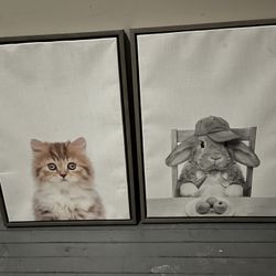 Nursery Photos