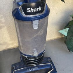 Shark duo