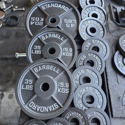 Weight Rogue Cast Iron Plates 