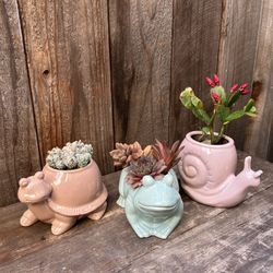 Small Animal Planters