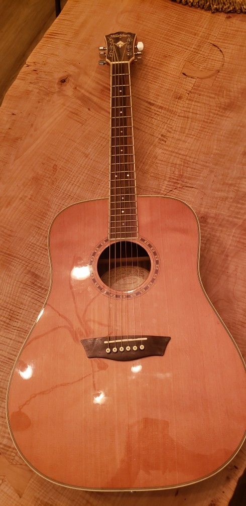 Washburn Acoustic Guitar