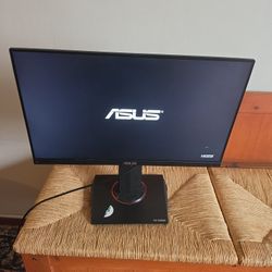 Asus Monitor
