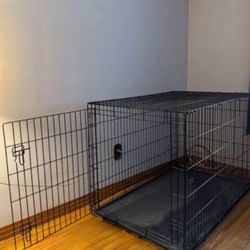 2 XL Dog Crates 