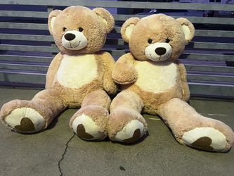 Large teddy bear for sale
