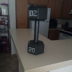 20 Pound Dumbbell