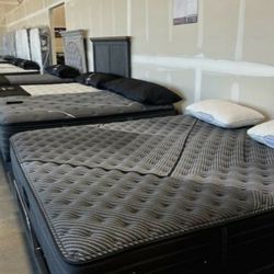 Queen & King Mattresses! Need to Clear Out ASAP!