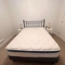 Queen Mattress/ WinkBed (Firmness: Soft) Like New