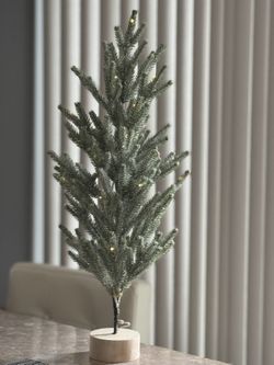 Christmas Tree Lights Up
