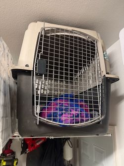 Large Hard-Shell Pet Travel Crate