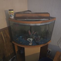 Fish Tank