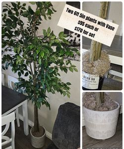 Two 6’5” floor plants
