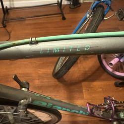 Bianchi Limited Bike