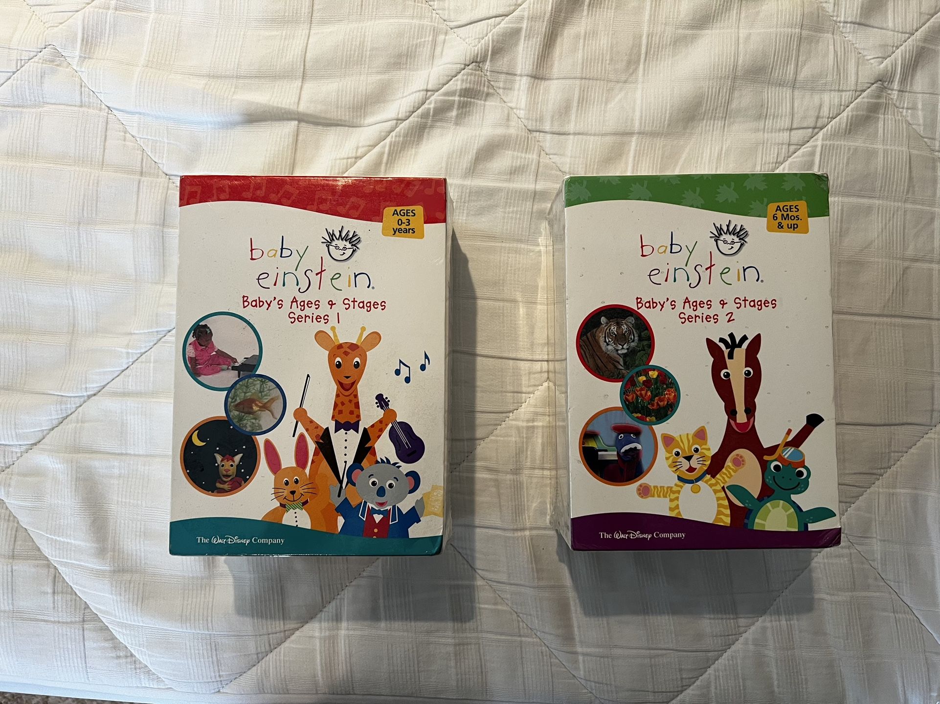 Baby Einstein DVDs