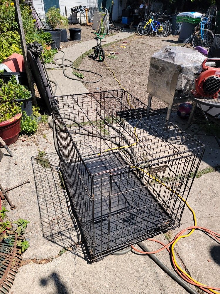 Dog Crate
