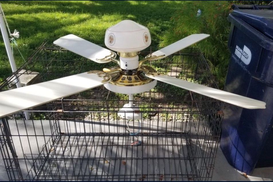 White Celing Fan With Light 52” Blades 