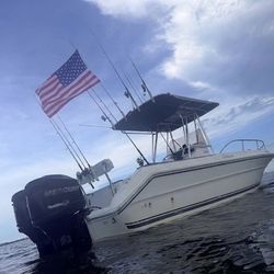 1991 Sea Ray Laguna