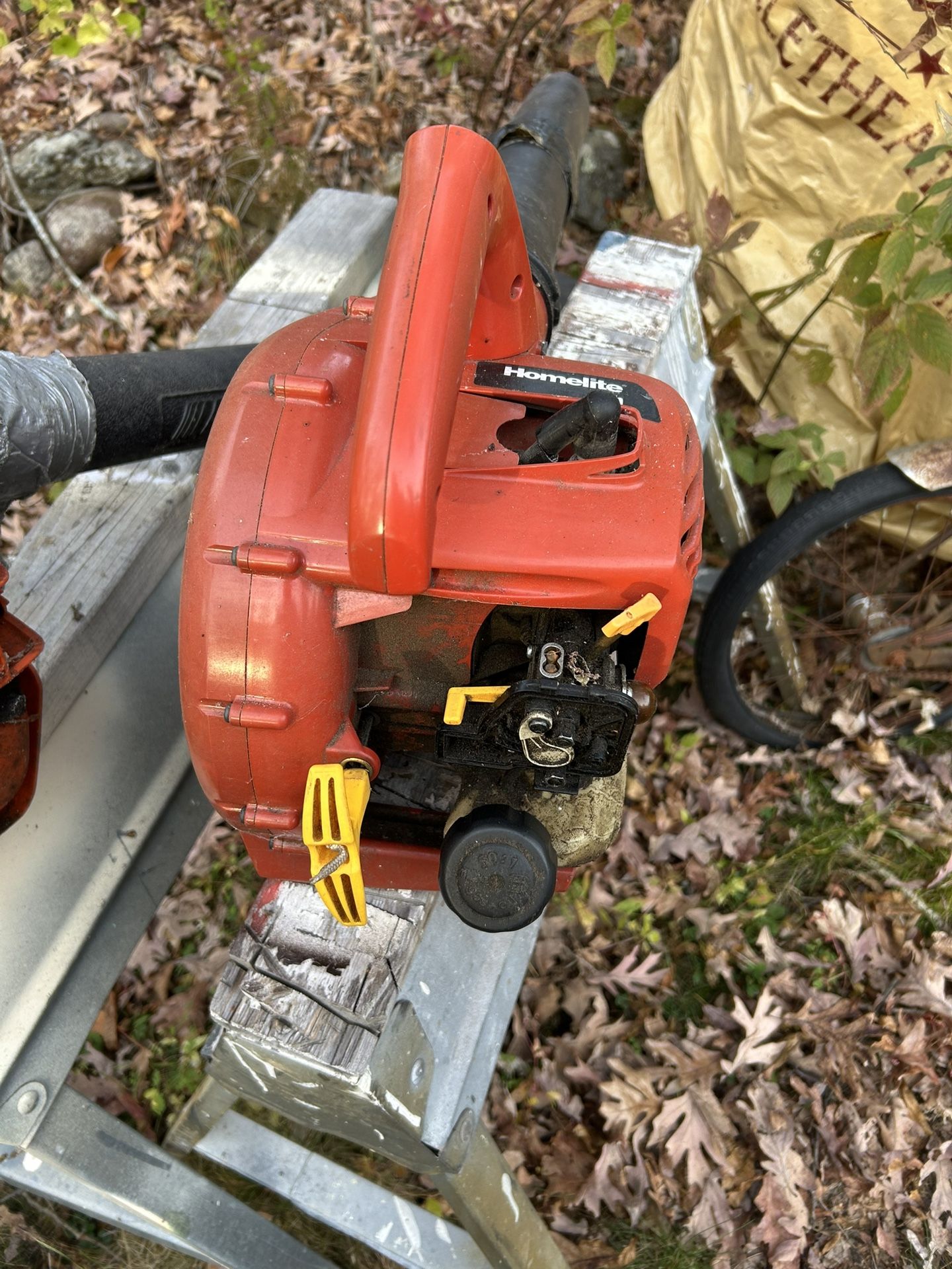 Two Leaf Blowers  $30 