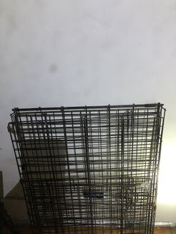 metal dog crate