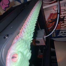 Articulated Snake And Shark 3d Printed 