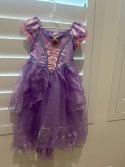 Rapunzel Princess costume