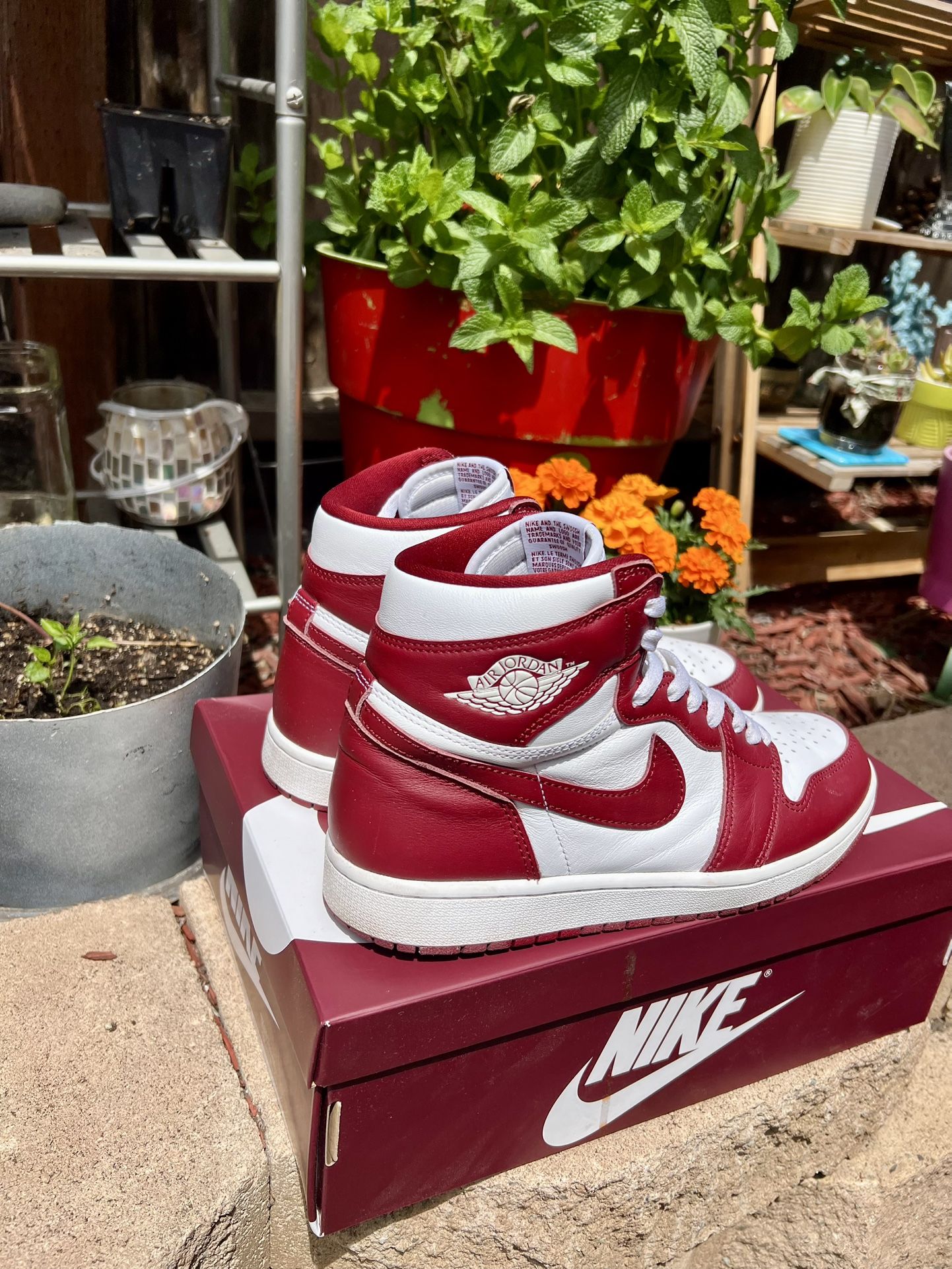 Nike Air Jordan