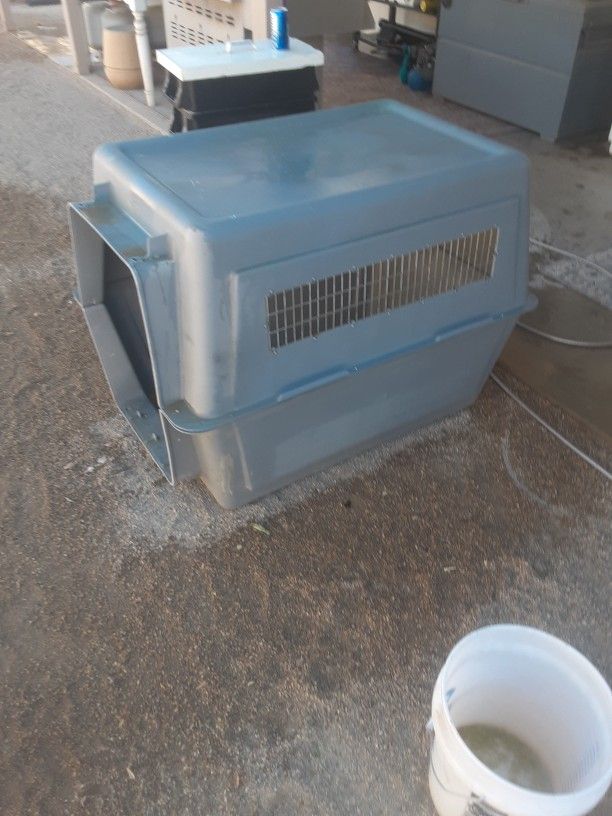 Dog Kennel 