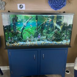 Fish Aquarium With Lots Of Accessories 