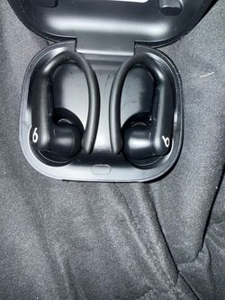 Beats Powerbeats Pro Wireless Earbuds with Case