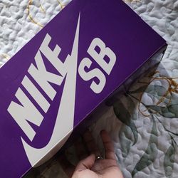 Nike Sb Dunks Big Money Savings Size 7.5