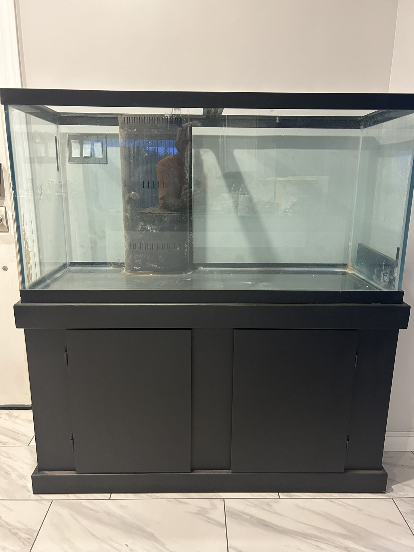 Saltwater Fish Tank