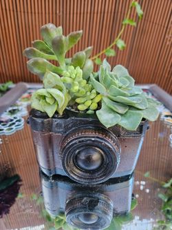 📷 Handcrafted Cement Camera Planter