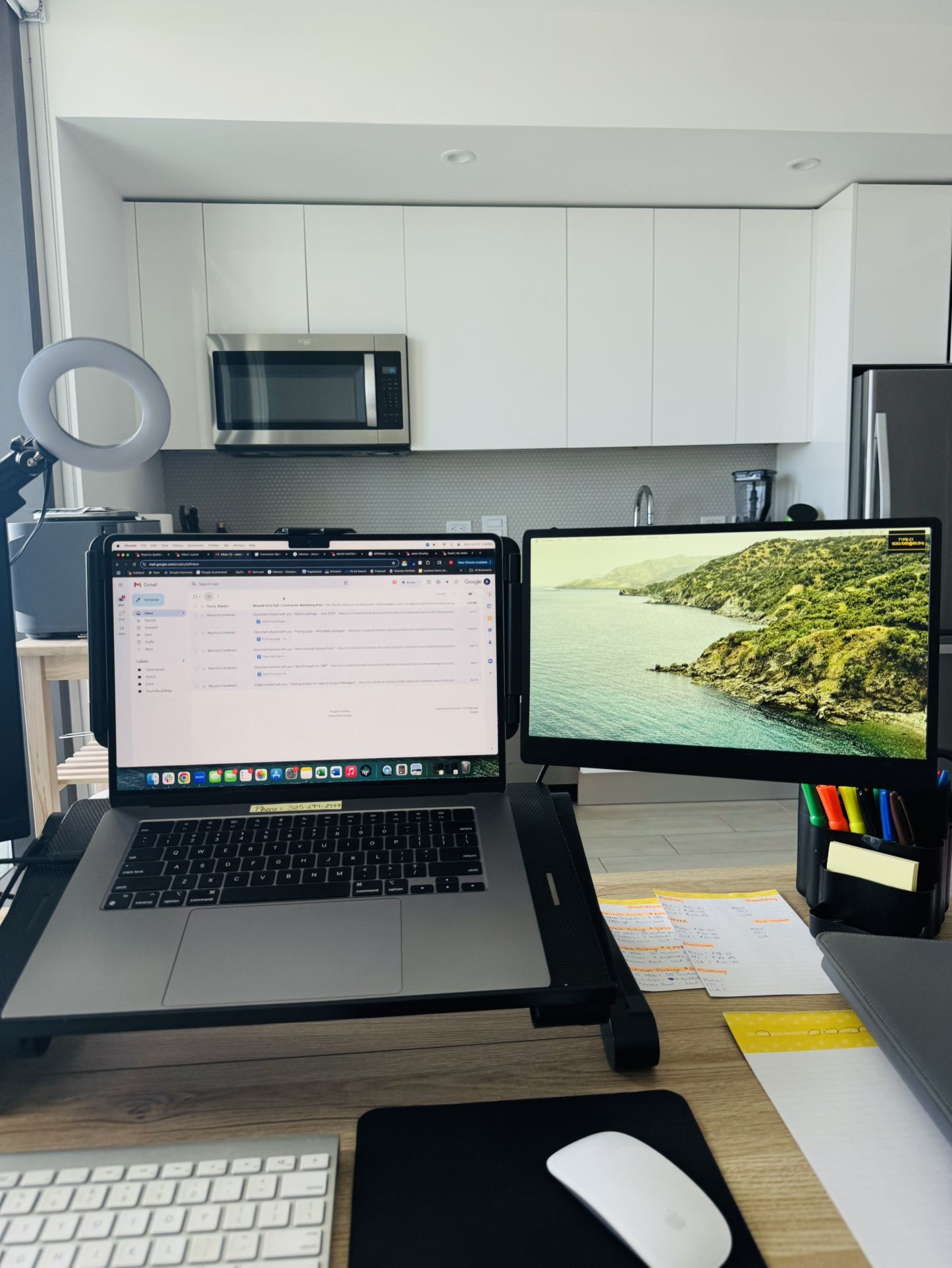 Dual Monitor - Portable