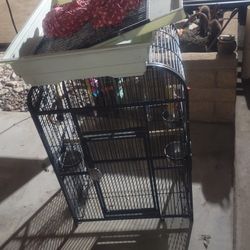 Bird Cage