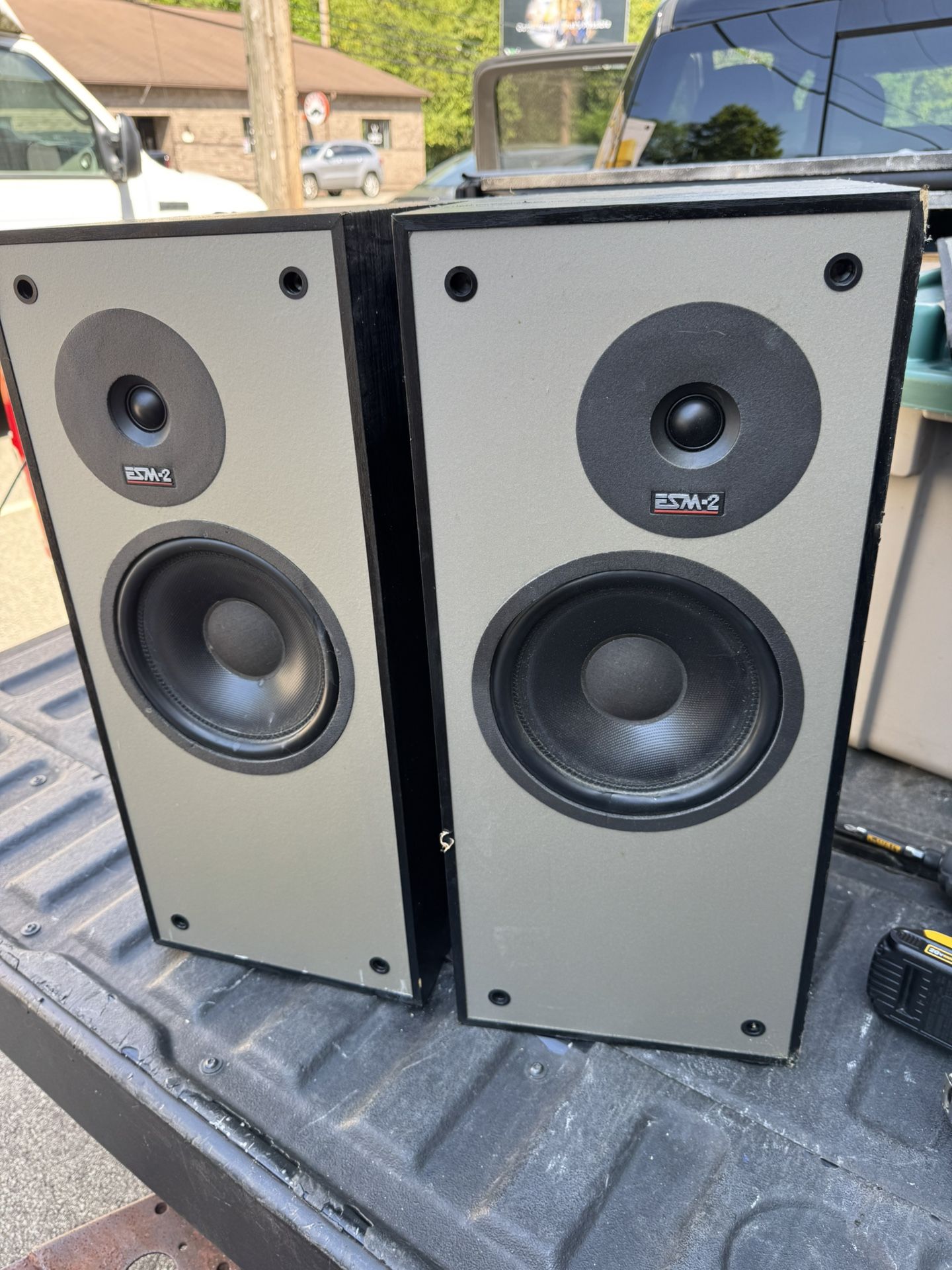 Vintage Energy ESM-2 Studio Monitor Large Bookshelf Speakers