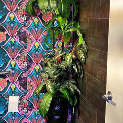 Tall Artificial Plant 