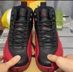 Jordan 12 flu game
