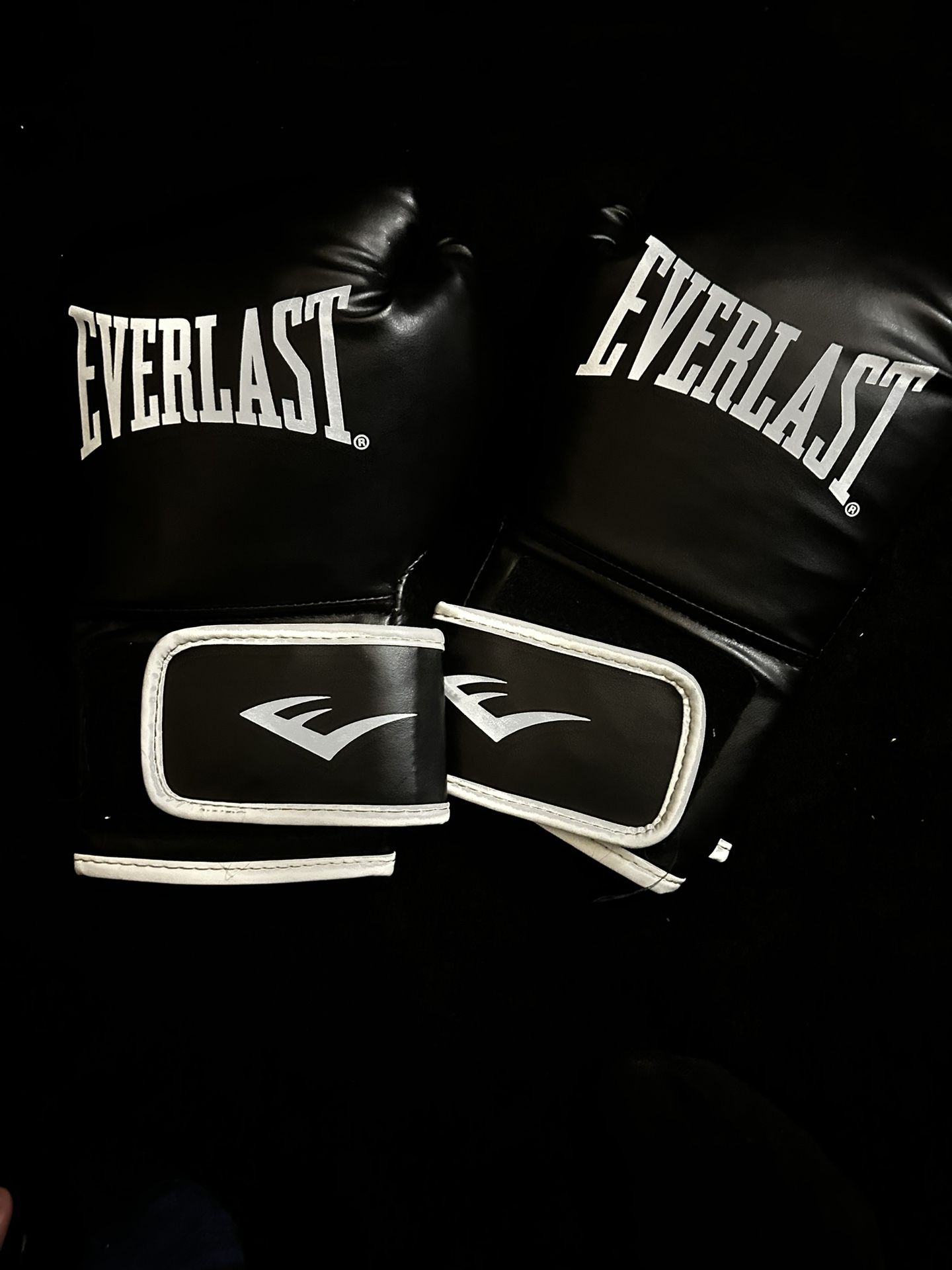 Black 16oz Everlast Boxing Gloves