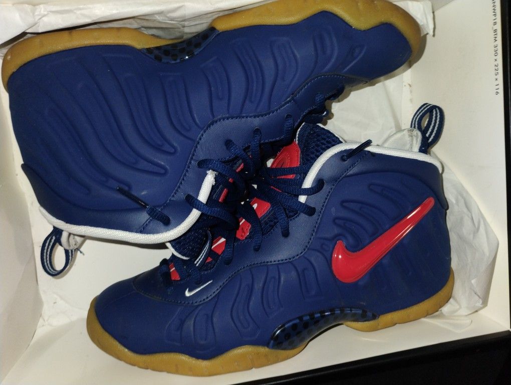Nike Foamposite Pro (GS)